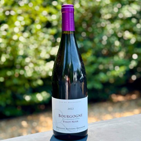 Antoine Reniaume Bourgogne Rouge