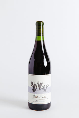 A bottle of 2023 Scar of the Sea 'Old Vine' Zinfandel wine from Lopez Vineyard, Cucamonga Valley, CA.