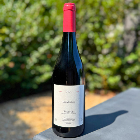 Chai de la Dive Les Moulins Saumur Rouge