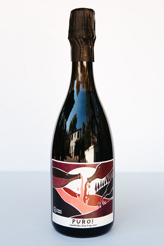 A bottle of Fangareggi Puro! Lambrusco sparkling red wine with a label that features geometric shapes in red and white on a black background.